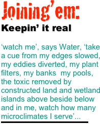Joining’em: 
Keepin’ it real

‘watch me’, says Water, ‘take a cue from my edges slowed, my eddies diverted, my plant filters, my banks  my pools, the toxic removed by constructed land and wetland islands above beside below  and in me, watch how many microclimates I serve’... 
￼