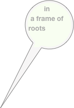 in a frame of roots
