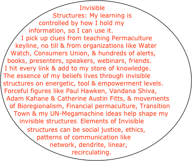 Invisible Structures: My learning is controlled by how I hold my information, so I can use it.
I pick up clues from teaching Permaculture keyline, no till & from organizations like Water Watch, Consumers Union, & hundreds of alerts, books, presenters, speakers, webinars, friends. 
I hit every link & add to my store of knowledge.
The essence of my beliefs lives through invisible structures on energetic, tool & empowerment levels. Forceful figures like Paul Hawken, Vandana Shiva, Adam Kahane & Catherine Austin Fitts, & movements of Bioregionalism, Financial permaculture, Transition Town & my UN-Megamachine ideas help shape my invisible structures. Elements of Invisible structures can be social justice, ethics, patterns of communication like network, dendrite, linear, recirculating. 
